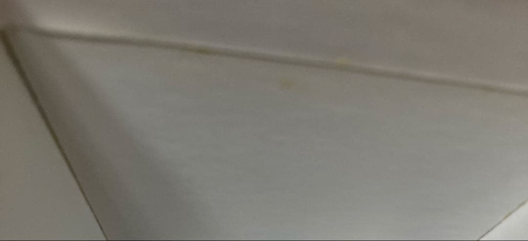 やまとなでしこ DVD BOX 全6巻セット