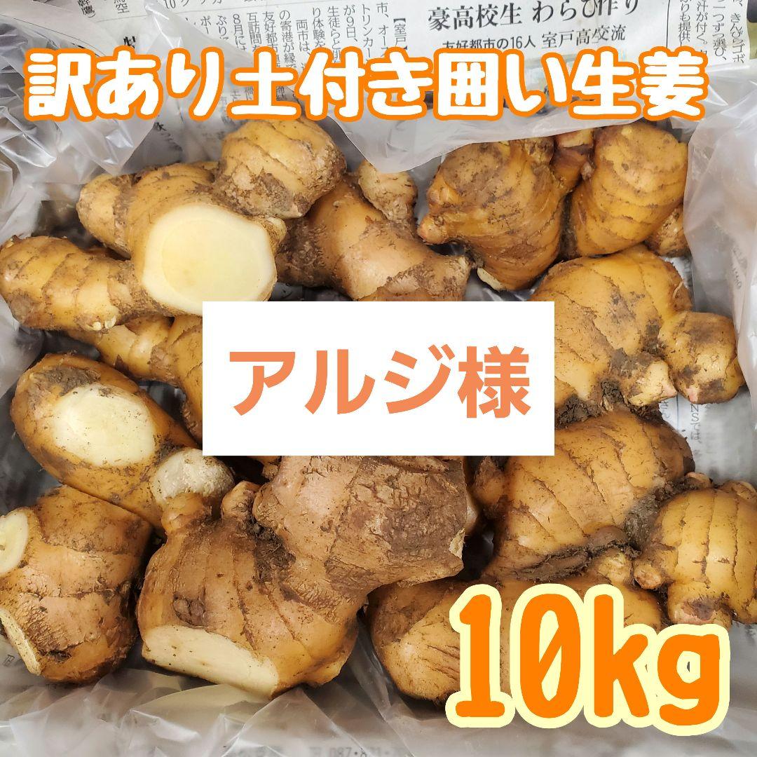 アルジ様訳あり土付き囲い生姜10kg