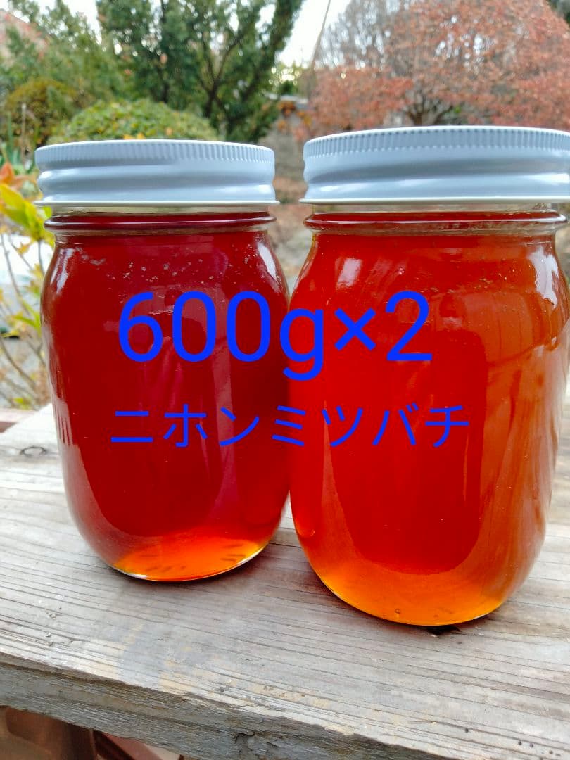 日本蜜蜂　百花蜜　600g×2　天然非加熱　　　ハチミツ