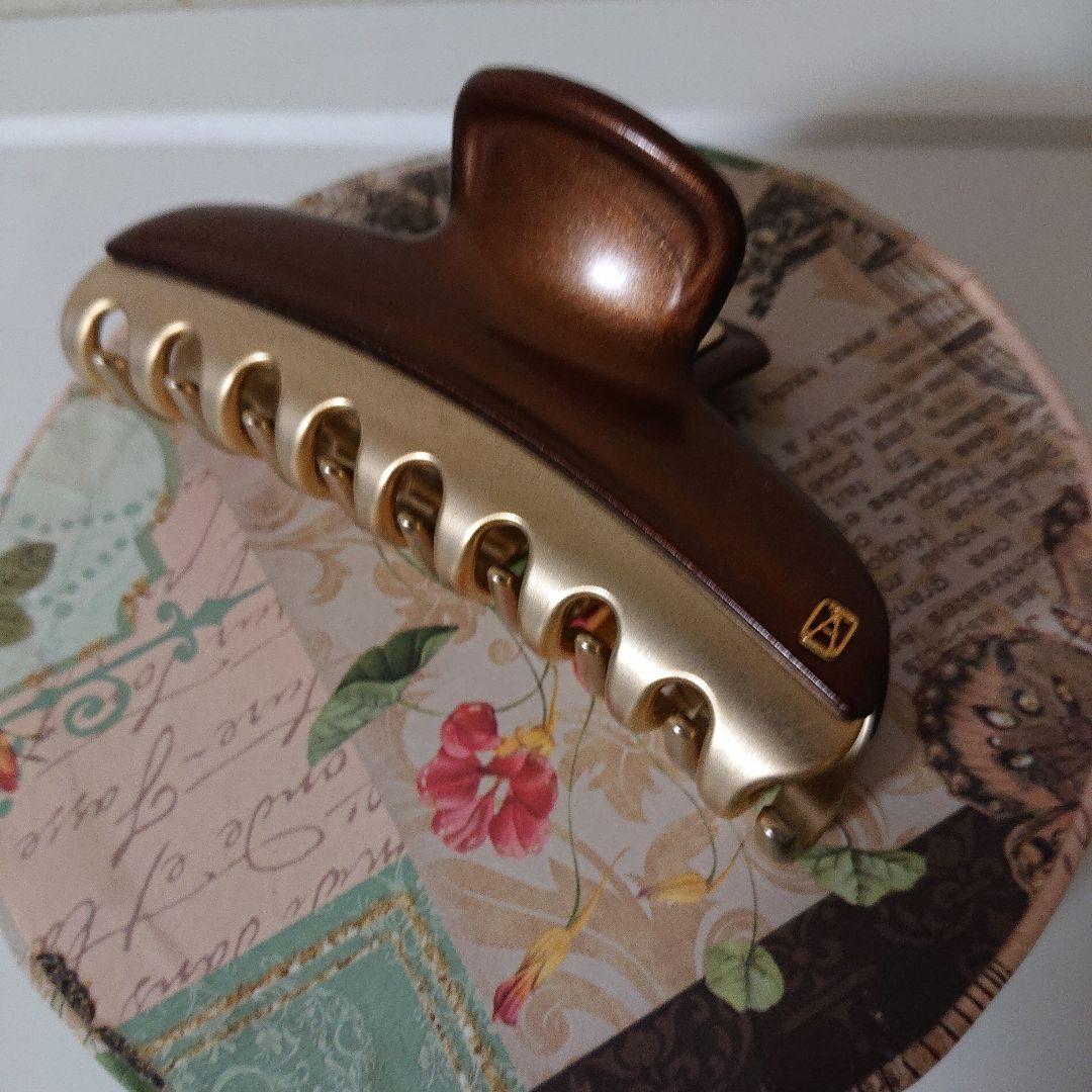 ☆アレクサンドゥルパリ クリップ大きいサイズ☆