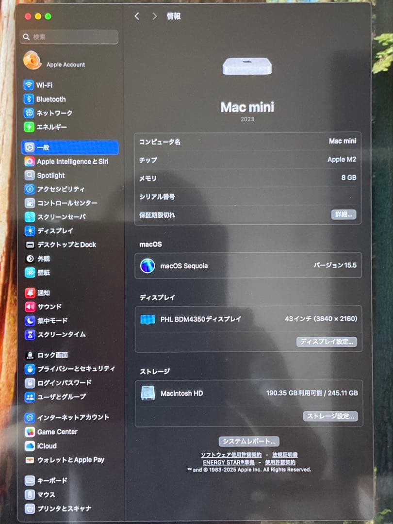 Apple Mac mini M2 2023 8GB 256GB 箱付き