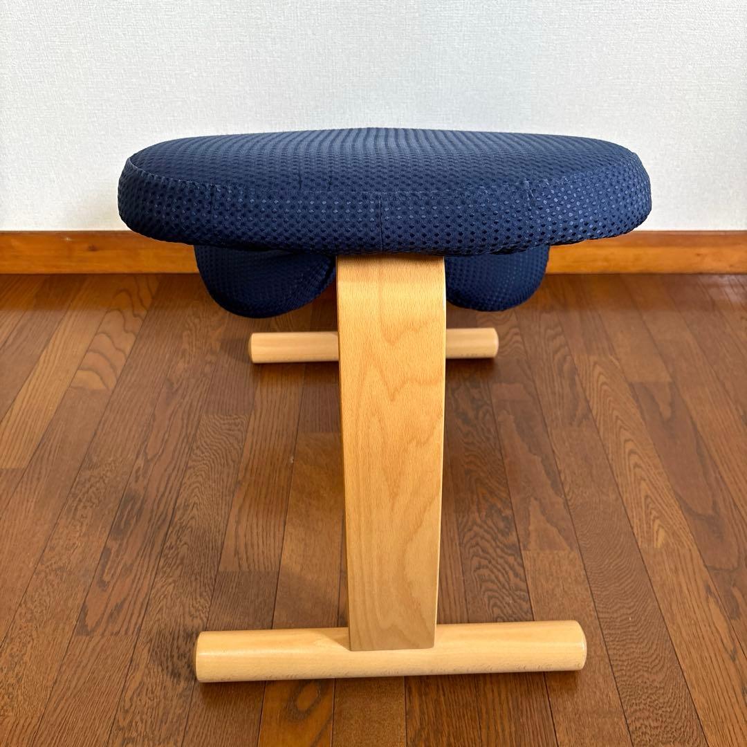 【美品】balans Easy バランスイージー ネイビー 通常フレーム