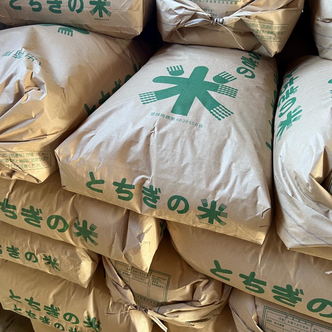 玄米10kg◆令和７年産コシヒカリ玄米10キロ◆栃木県産新米