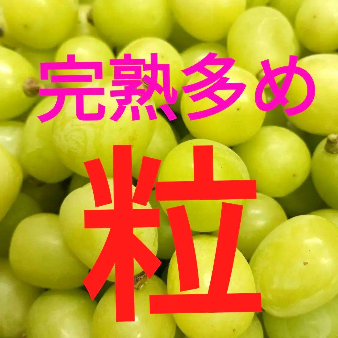 シャインマスカット完熟多めの、徳用5.5キロ入りの粒バック入りになります。