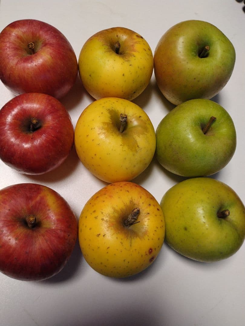 栽培中農薬不使用　高徳6玉　大玉贈答品　家庭用多種多様セットリンゴ9キロ