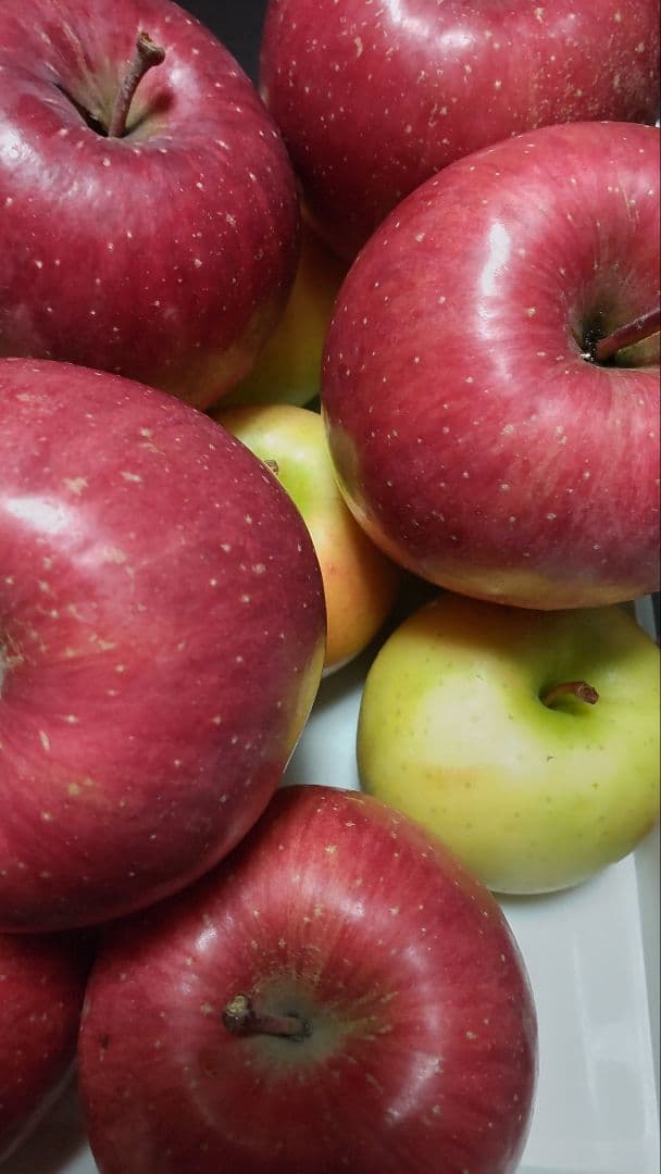 栽培中農薬不使用　高徳6玉　大玉贈答品　家庭用多種多様セットリンゴ9キロ