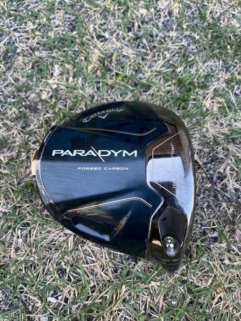 パラダイムドライバーベッド10.5