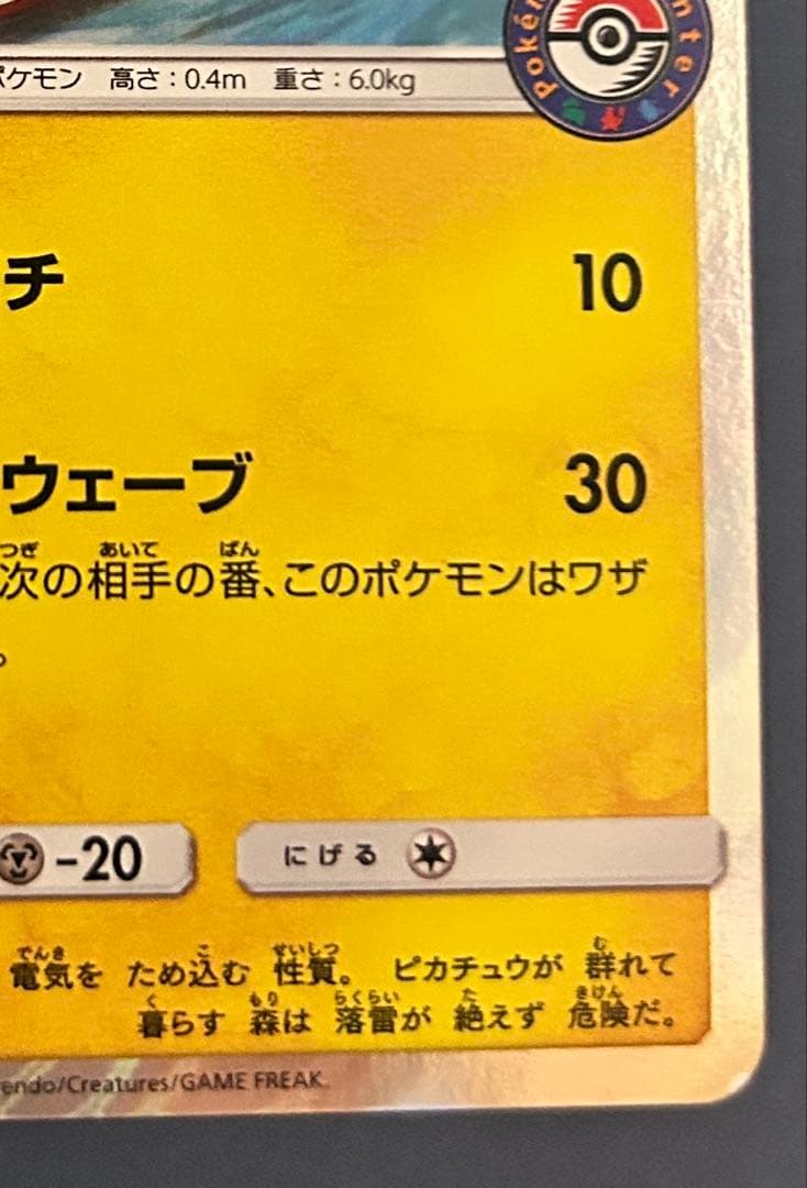 海で遊ぶピカチュウ