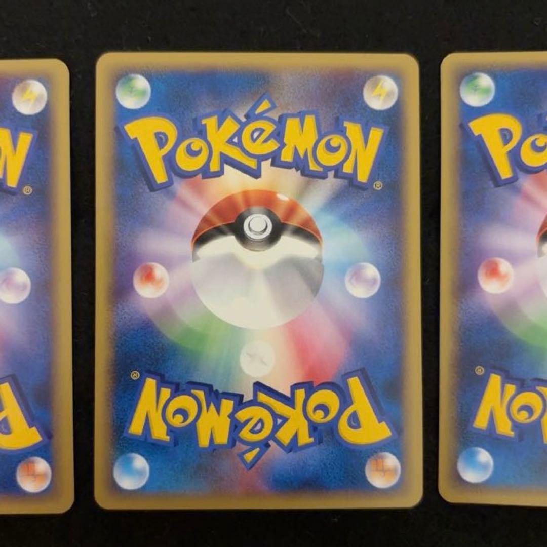 R*様 #ゆんの気まぐれオークション　（梅）　ピカチュウ　ライチュウ