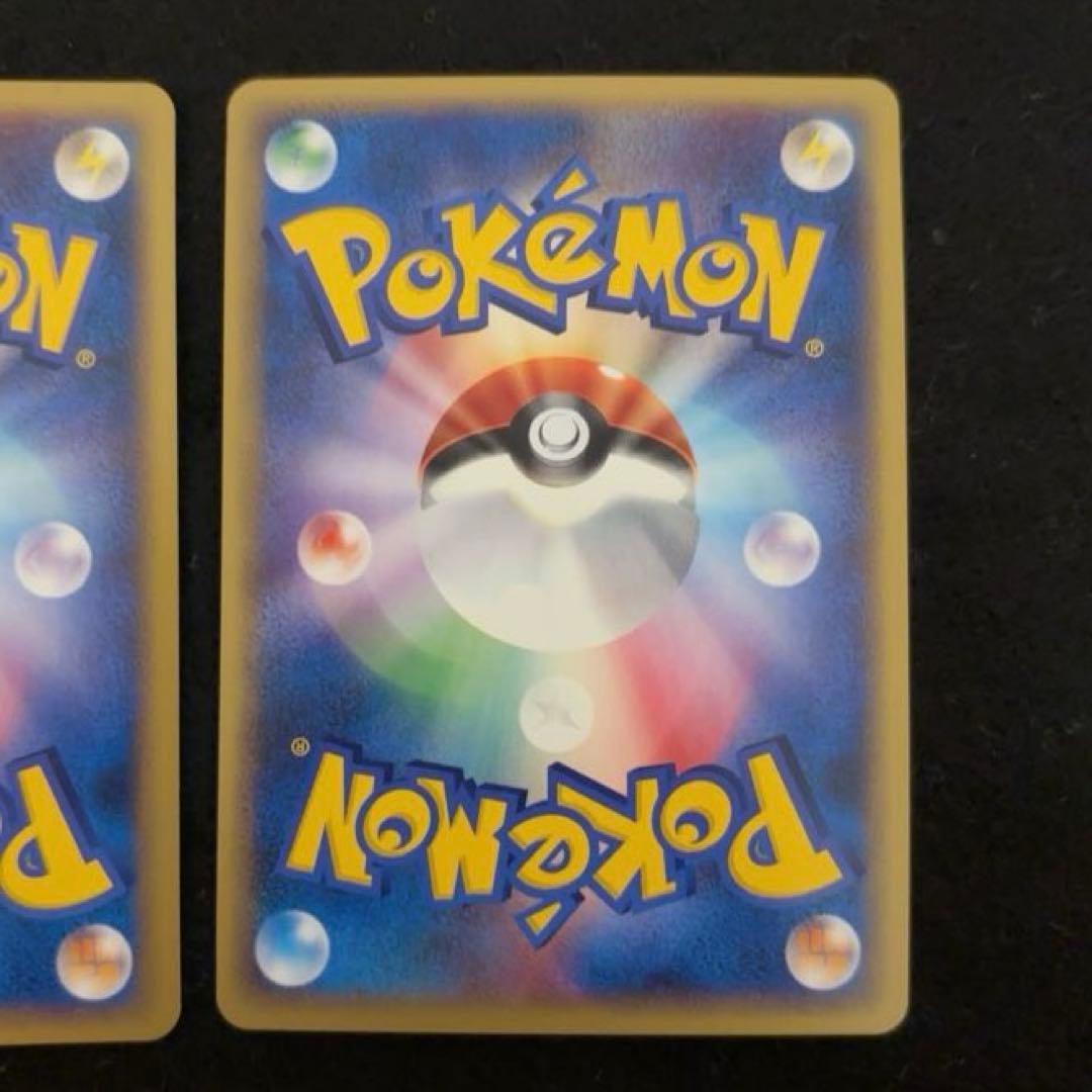 R*様 #ゆんの気まぐれオークション　（梅）　ピカチュウ　ライチュウ