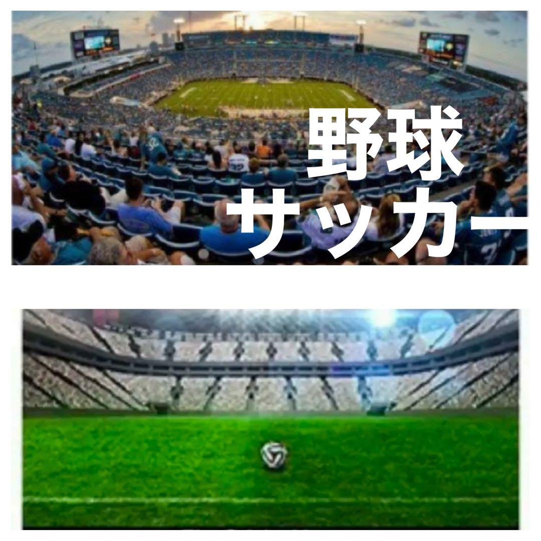 Canon一眼レフカメラ用！望遠レンズ！サードパーティ製品！おすすめ！大人気！