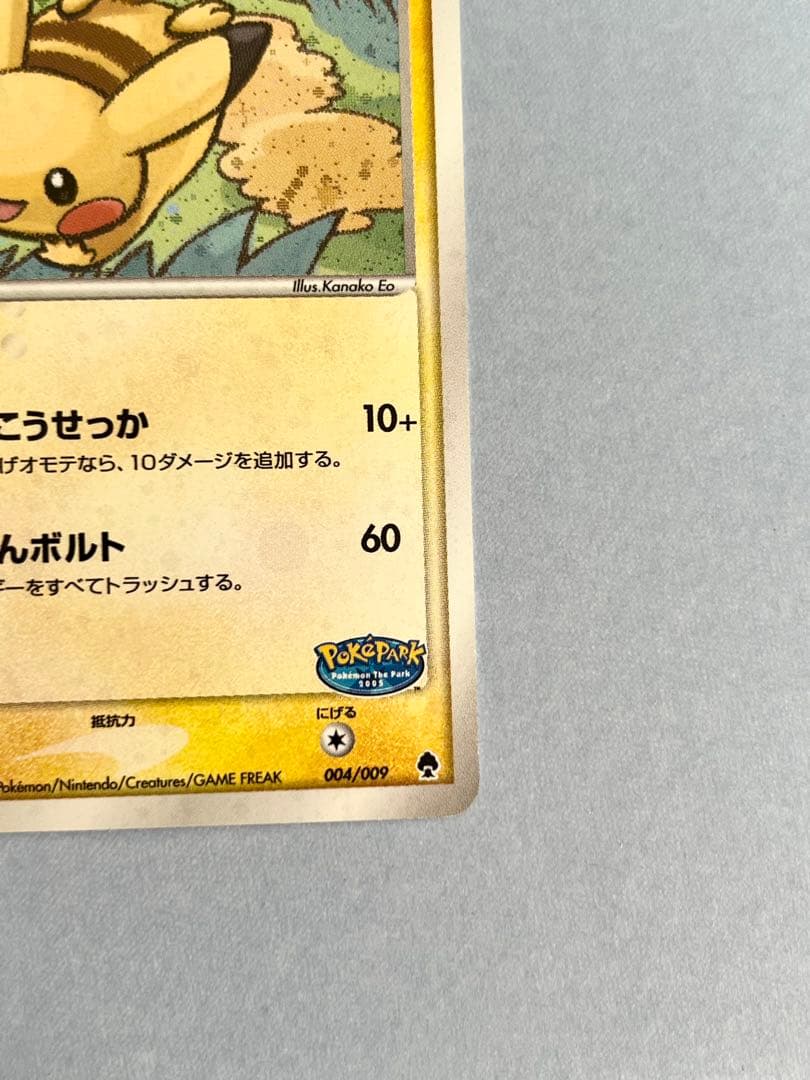 ポケパークのピカチュウ ポケパークプレミアムファイル 004/009
