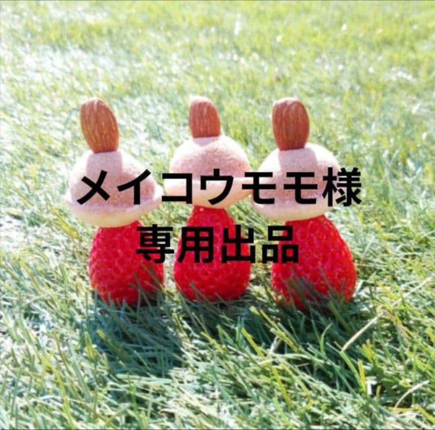 メイコウモモ やよい700 3