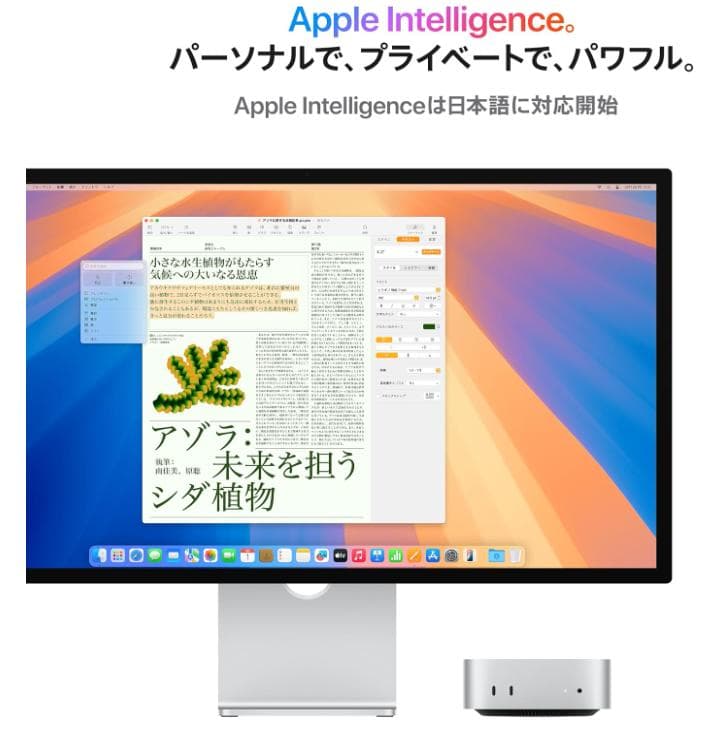 新品未開封 Mac mini M4 メモリ16GB MU9D3J/A 256GB