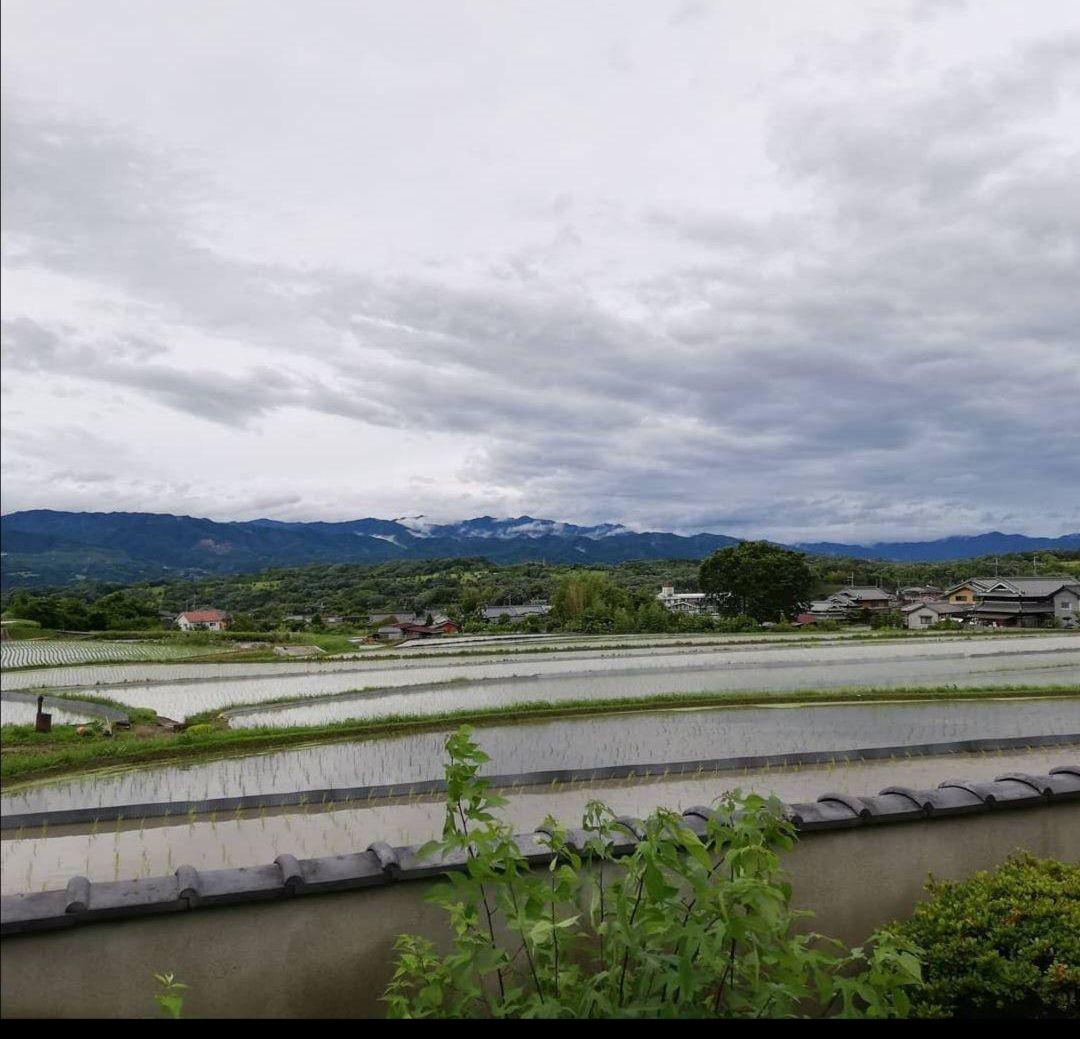【奈良直送!!】　お米　おむすびなどに☆　精米約10kg