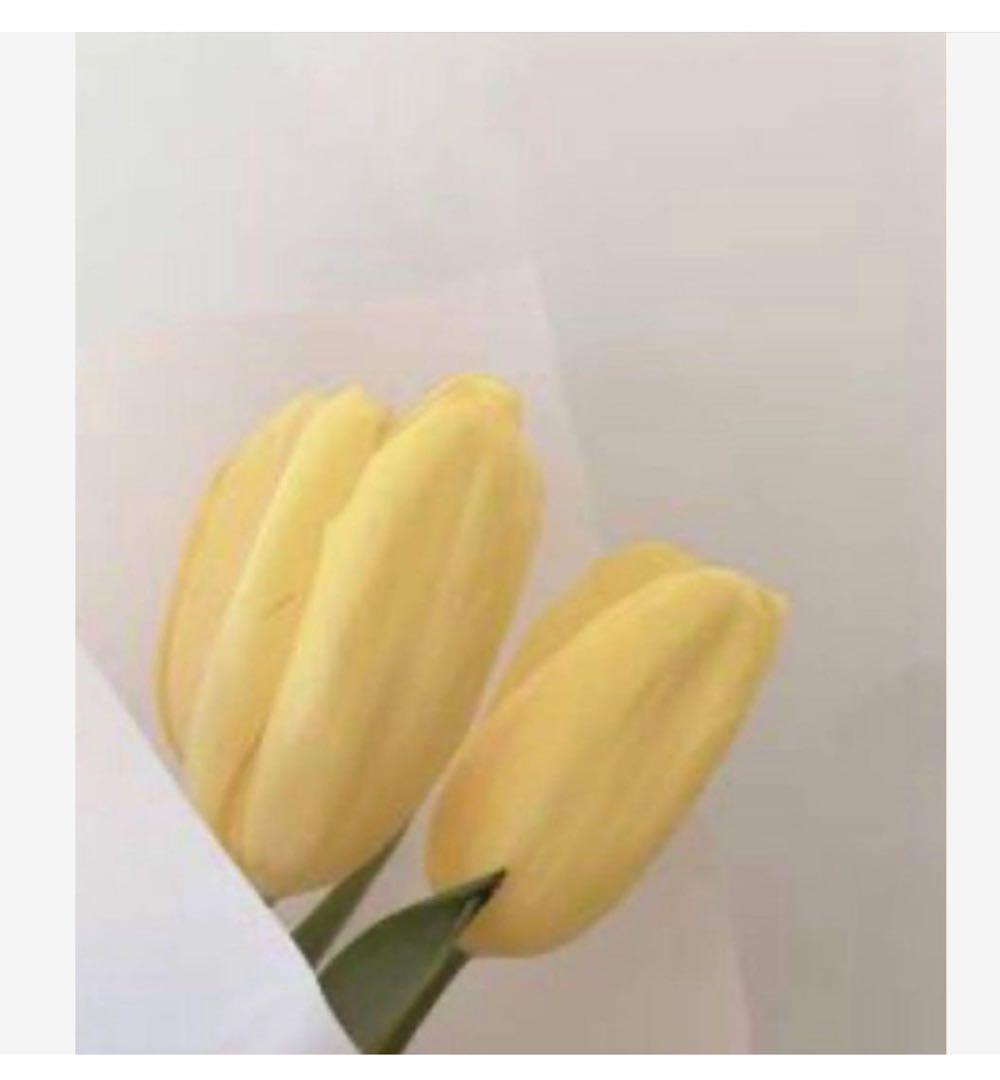 あゆ、 ST M4 エクストクレンジングオイル