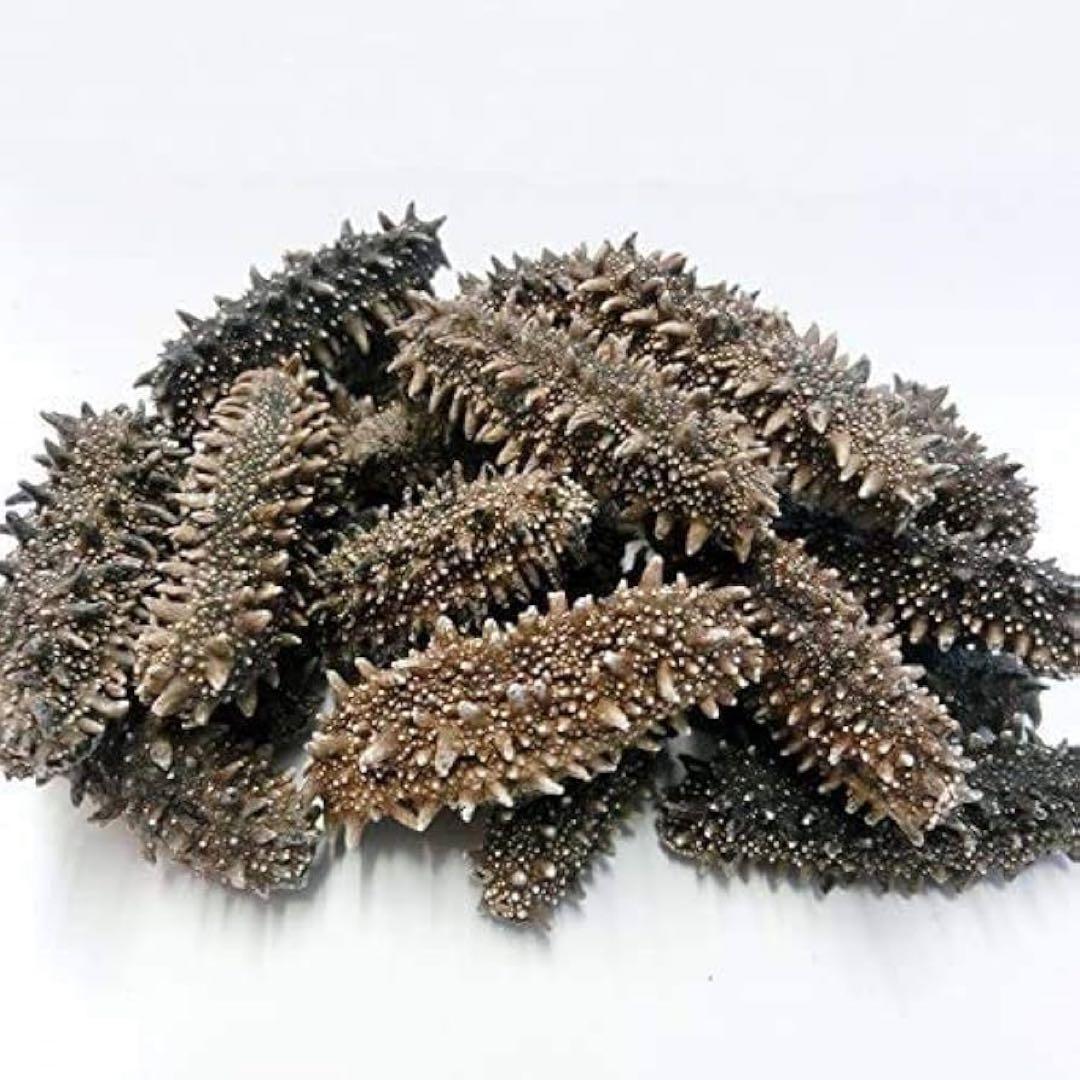 【北海道産】 乾燥なまこ 厳選A級品 200g Mサイズ　5.0g-7.0g