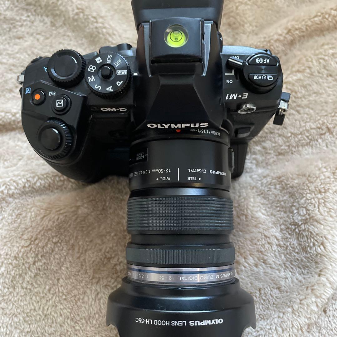 ぶ*ん様 OLYMPUS OM-D E-M1 ミラーレス一眼カメラ