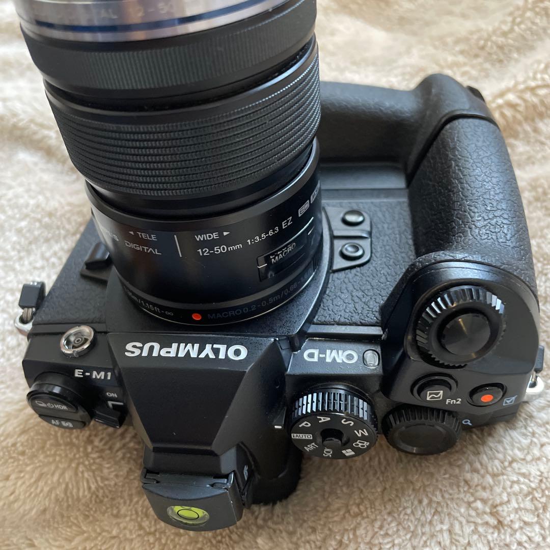 ぶ*ん様 OLYMPUS OM-D E-M1 ミラーレス一眼カメラ