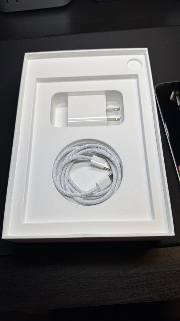 iPad Mini 第7世代 128GB セルラー