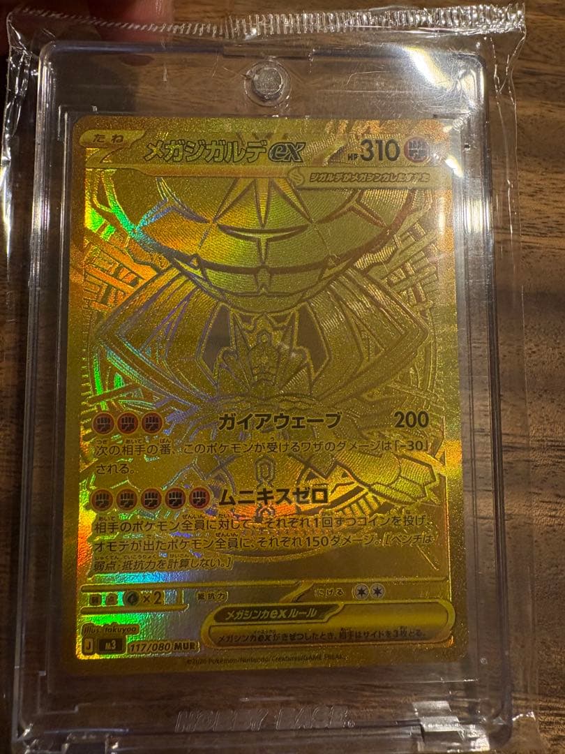 波ノリ　メガジガルデex MUR