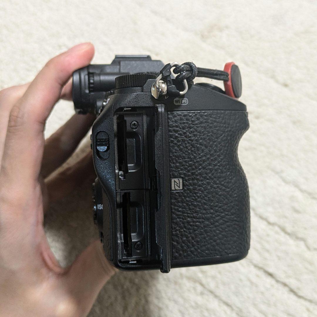 SONY α7 III / TAMRON 28-75mm F/2.8 一式