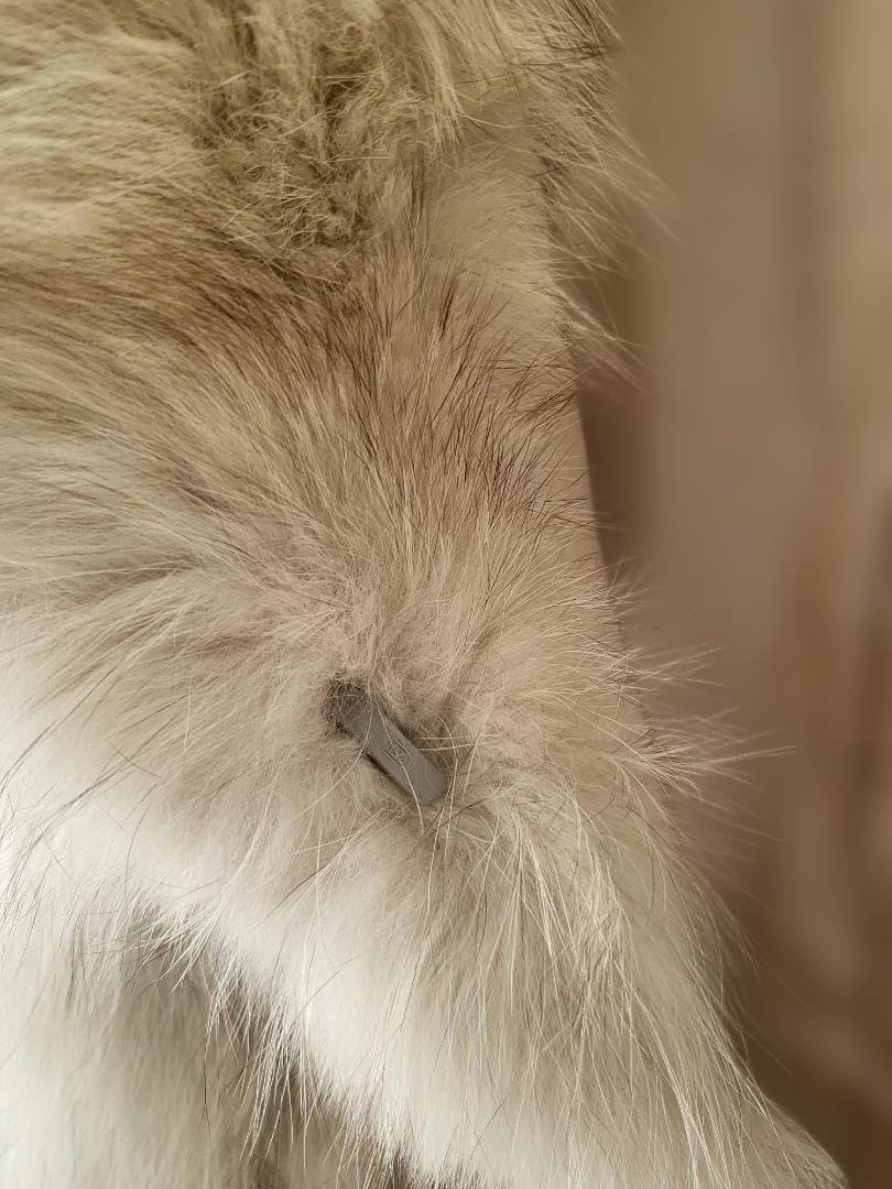 SAGA FOX　ファーコート　11号　シルバータグ