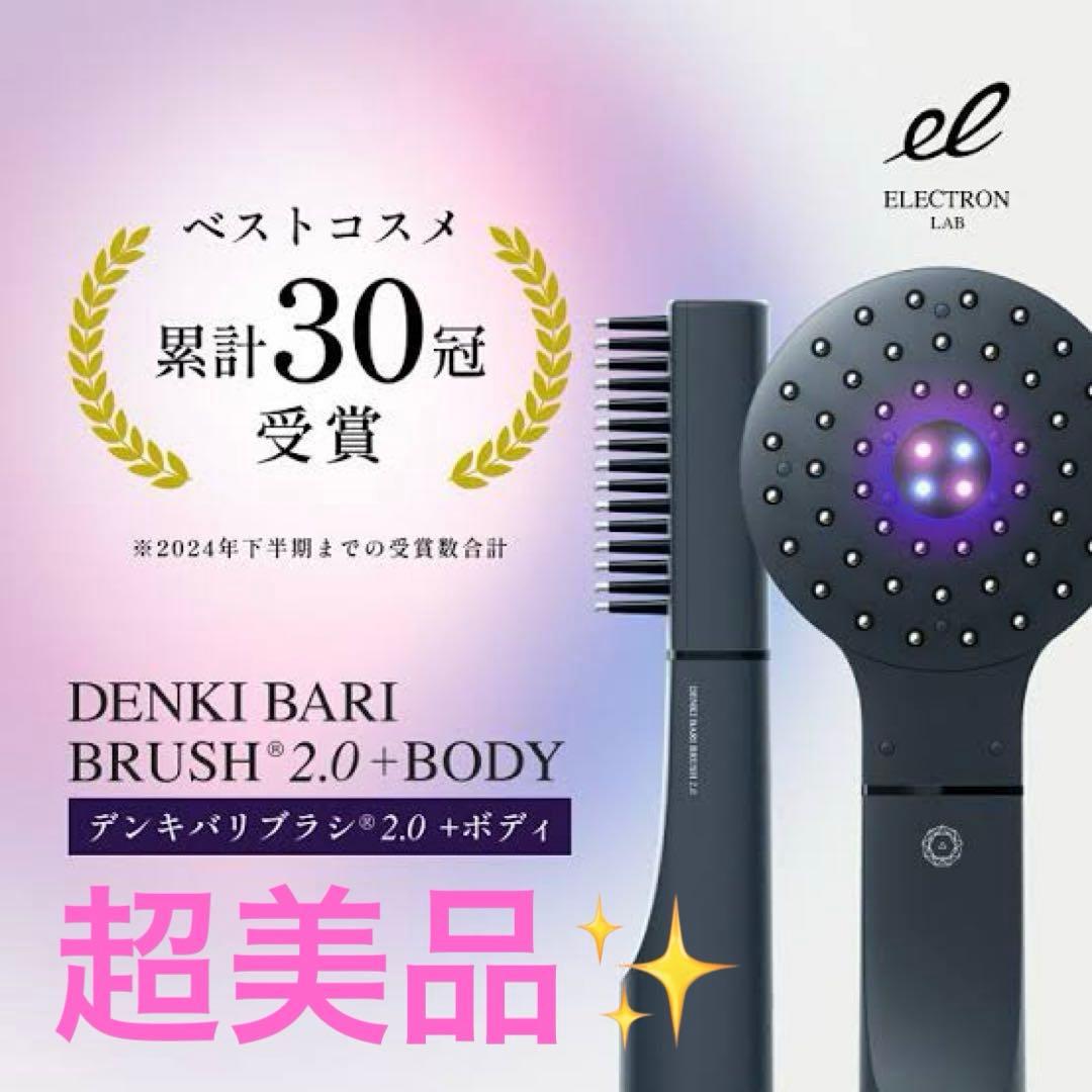 【超美品✨】エレクトロン　デンキバリブラシ2.0