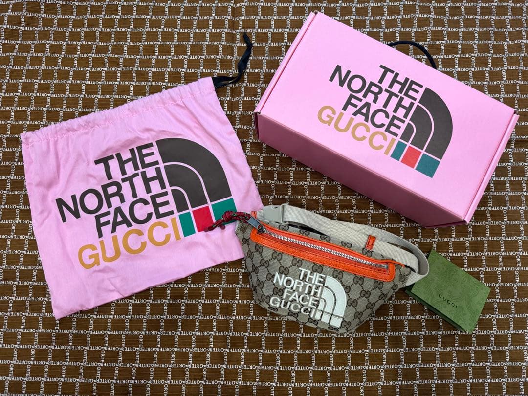 THE NORTH FACE×GUCCI ウエストバッグ サイズ95