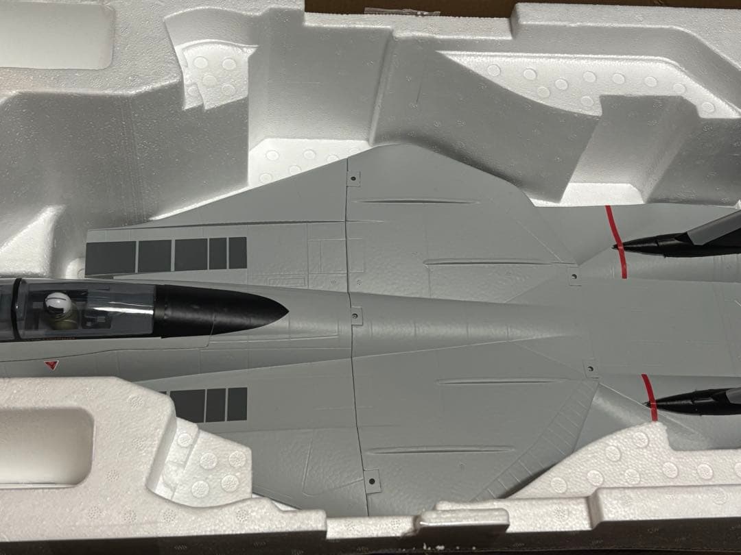 ラジコン飛行機Xfly F14 Twin 40mm PNPキット