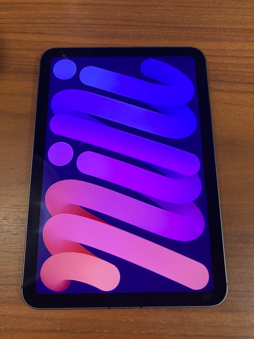 iPad本体 Apple iPad mini Wi-Fi+Cellular 256GB