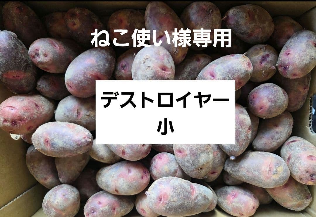 ねこ使い！デストロイヤーじゃがいも小10㎏、超小粒10㎏　計20㎏