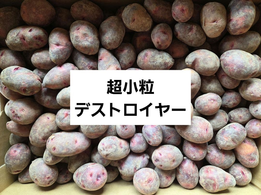 ねこ使い！デストロイヤーじゃがいも小10㎏、超小粒10㎏　計20㎏