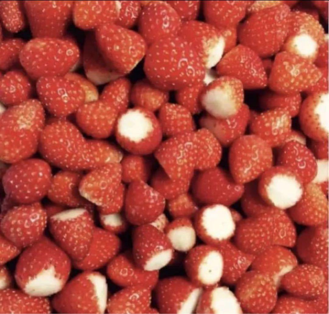 冷凍いちご冷凍苺 10kg(500g×20袋）佐賀県産 ジャム スムージーかき氷