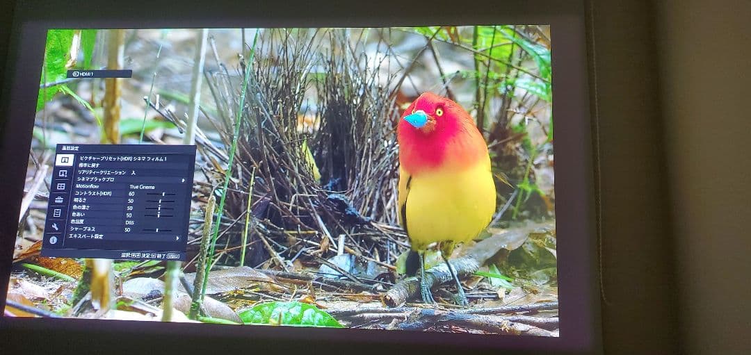 SONY VPL-VW745 4Kレーザープロジェクター