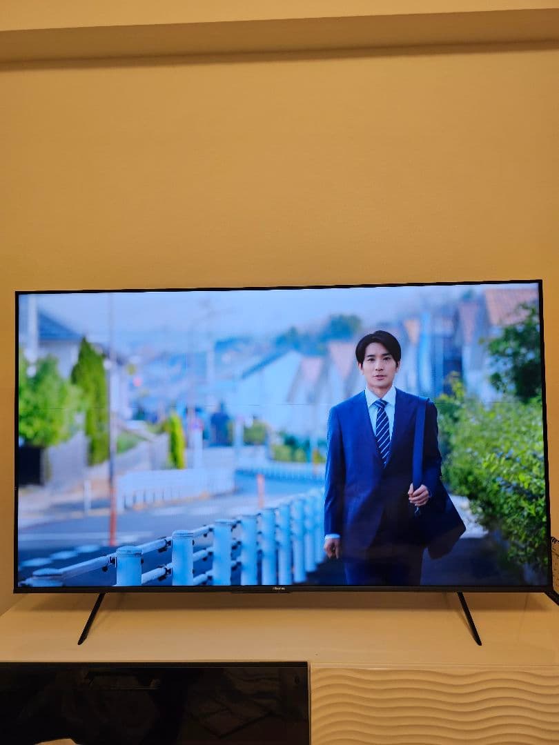 へ*と様 ハイセンス 65E7H 2024年製　細い縦線と横線あり　手渡しOK