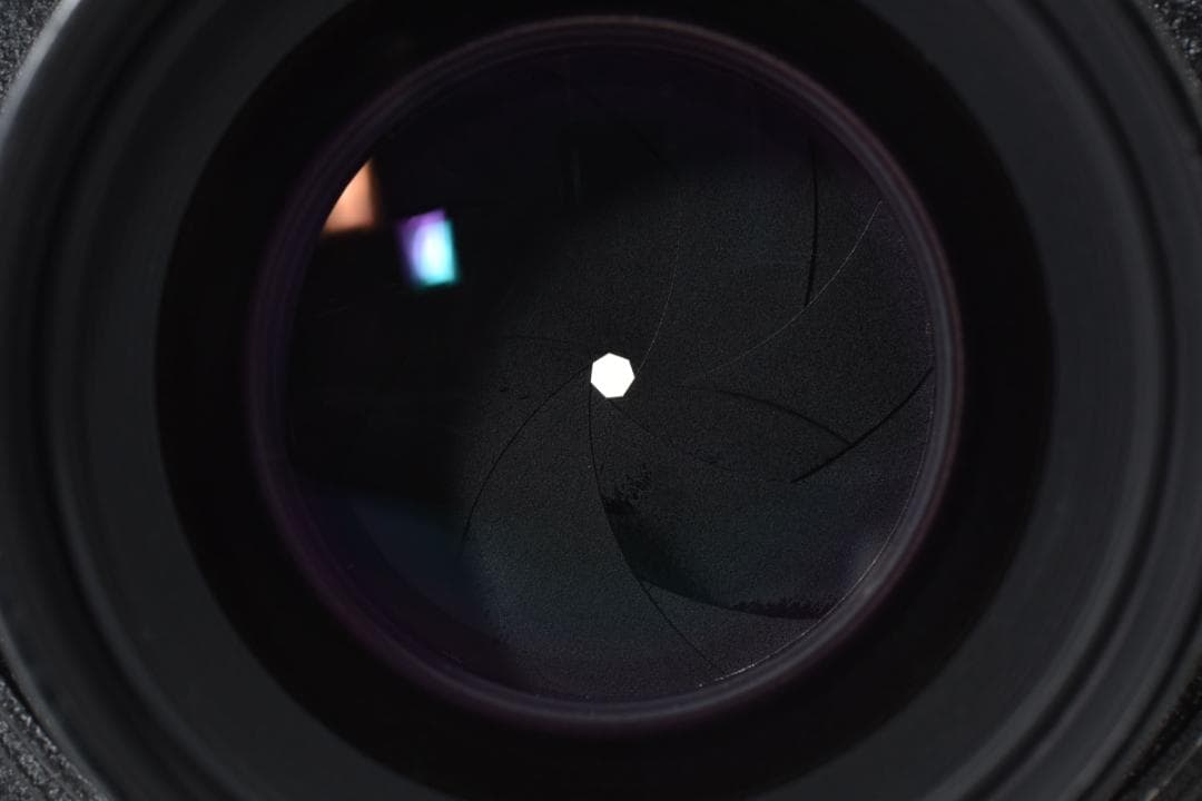 超美品 ニコン Nikon W 210mm f/5.6 Copal 1 #655