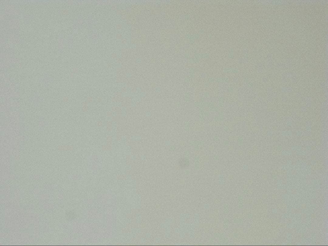 RICOH GX200 リコー ズーム機 CCDコンデジ