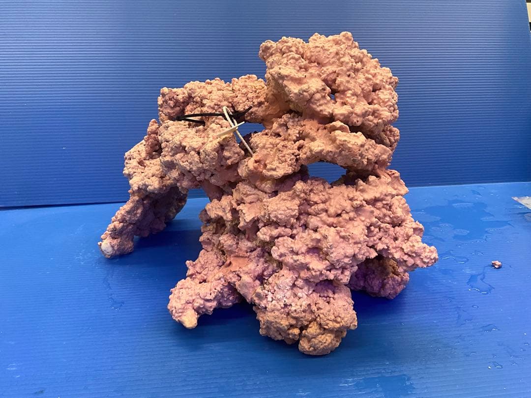 人工ライブロック　No.39. 無害化処理済