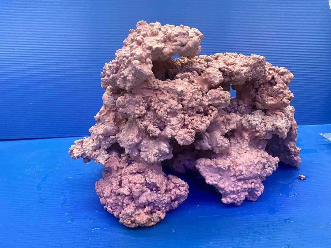 人工ライブロック　No.39. 無害化処理済