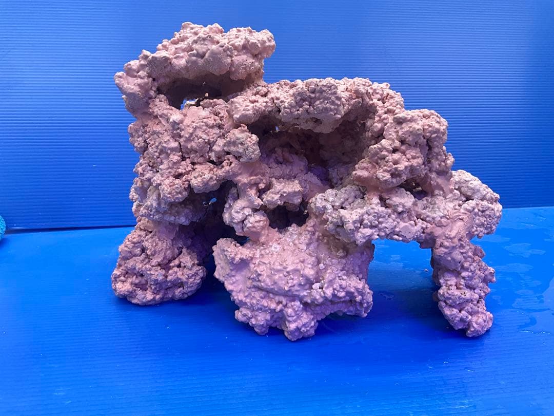 人工ライブロック　No.39. 無害化処理済