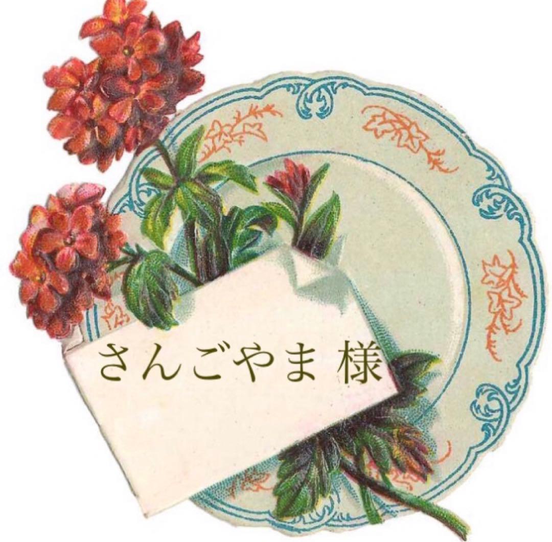 ＊＊ さんごやまオーダーページです　＊＊