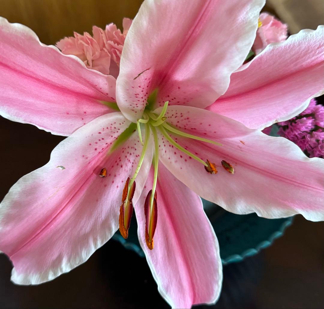 ちゃまるCHANEL 2024限定スノードームノベルティ