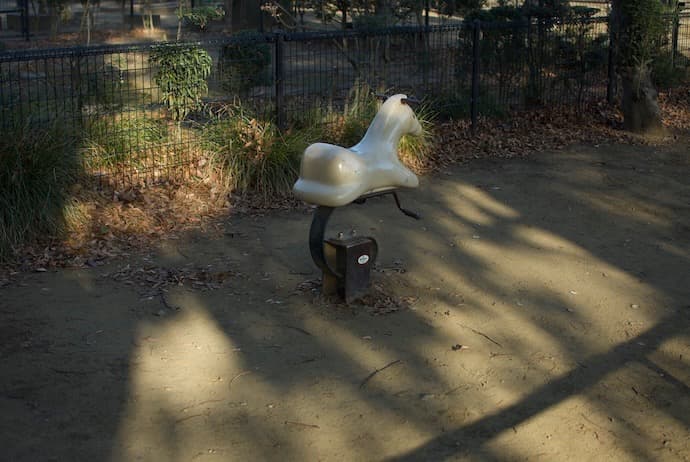 ニコン D200 CCD名機 実写作例有り