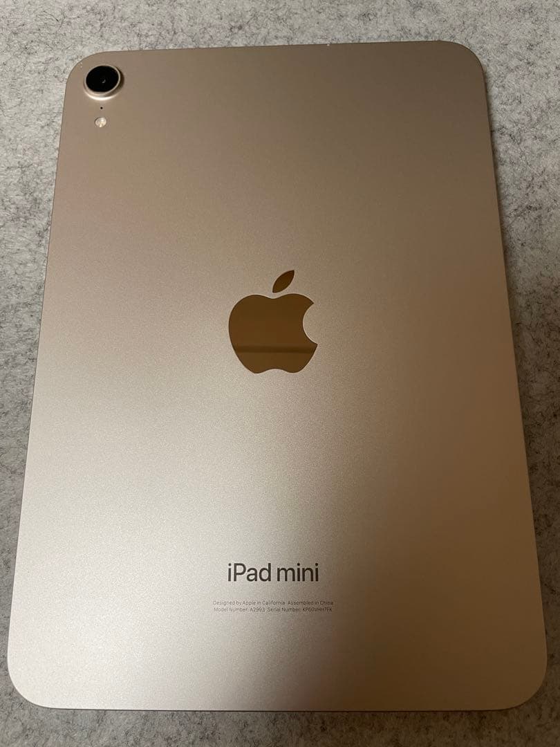 iPad mini (7世代) +Apple Pencil Pro +その他