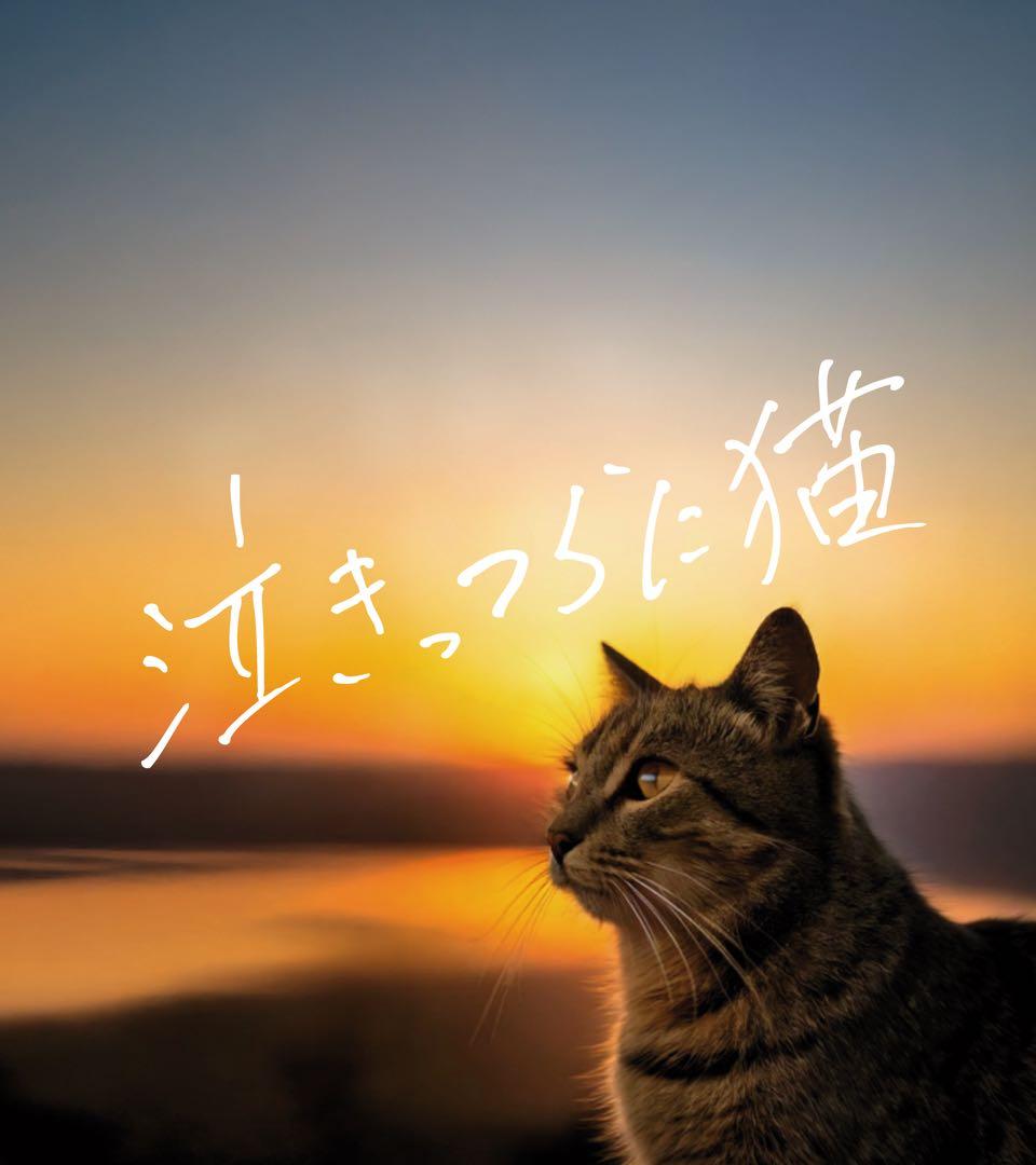 【Eliza】珈琲の輪郭セット