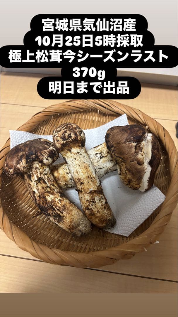 宮城県気仙沼産 極上松茸 370g