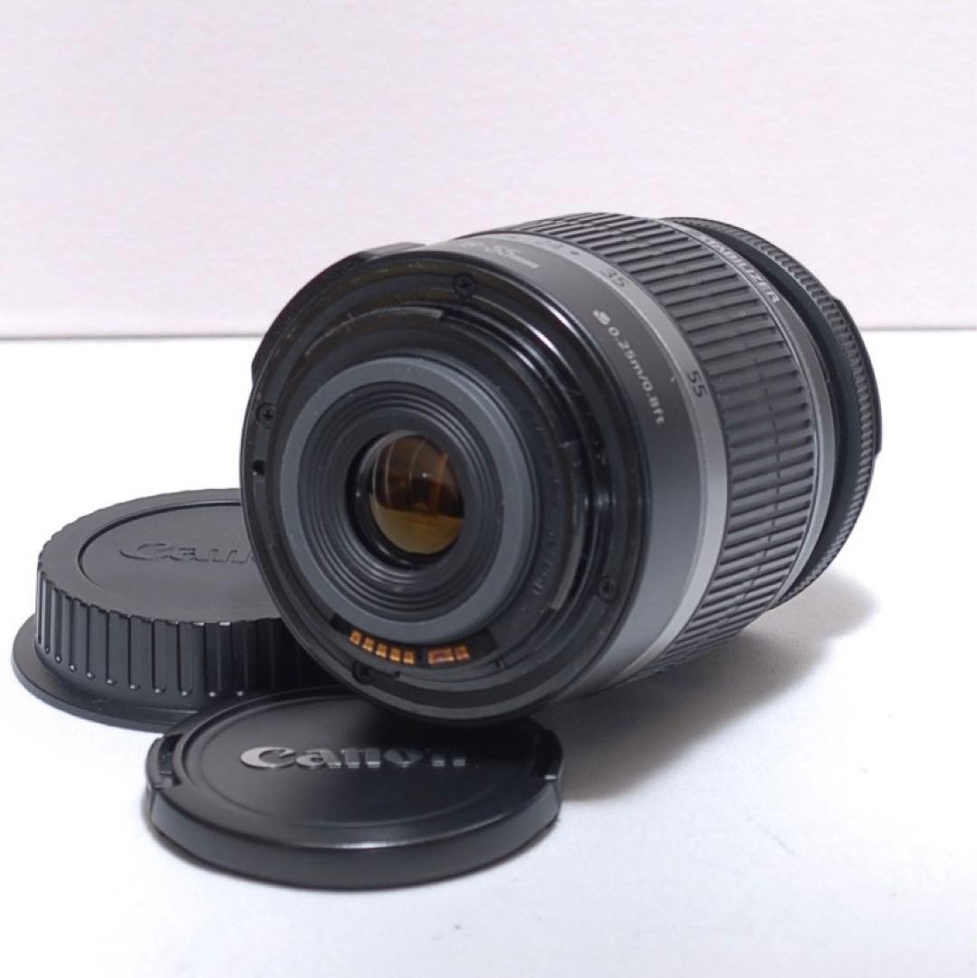 超望遠レンズデビュー✨CANON KISS X9i Wi-Fi接続✨ダブルレンズ