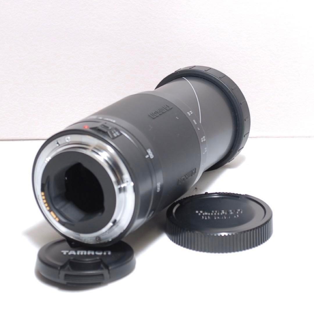 超望遠レンズデビュー✨CANON KISS X9i Wi-Fi接続✨ダブルレンズ