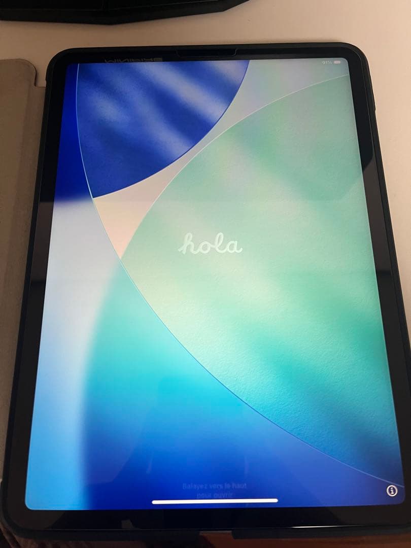 iPad pro 第三世代 11インチ 256GB 付属品有り(説明欄必読)